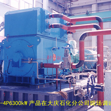 大慶石化（2006年 ，YAKS710-4P，1臺(tái)）